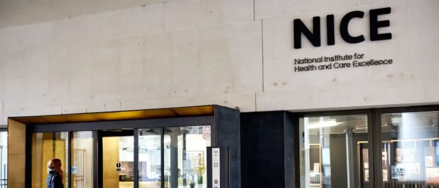 uk-reviews-ministerial-power-over-nice-thresholds