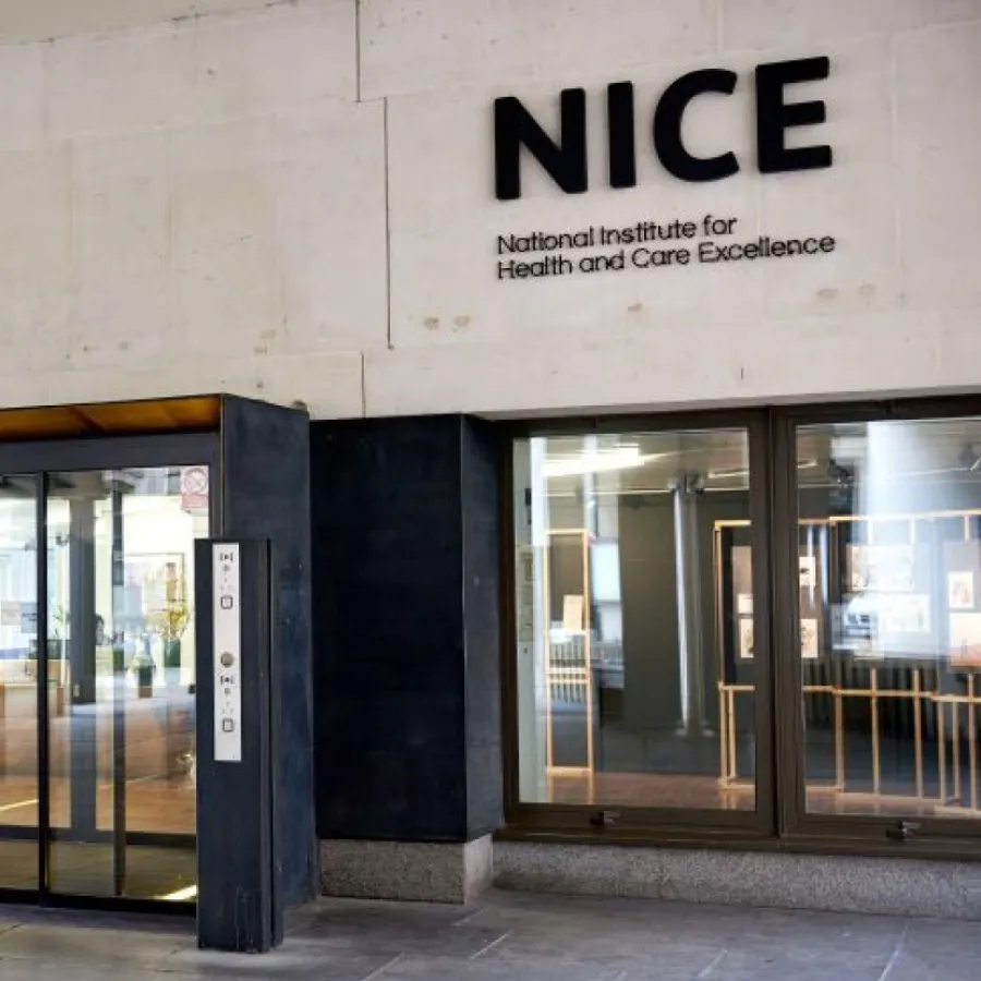 uk-reviews-ministerial-power-over-nice-thresholds