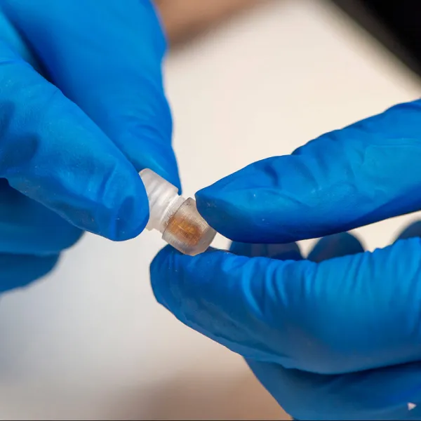 Swallowable Device Collects Microbial Samples from Small Intestine for Improved Diagnostics