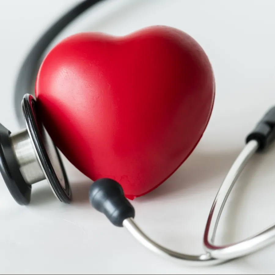 university-of-leicester-ccdc-programme-to-use-ai-diagnostics-in-mobile-units-for-digital-health-records